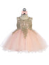 Baby Girls Multi Color Gold Lace Wired Tulle Flower Girl Dress 6-24M